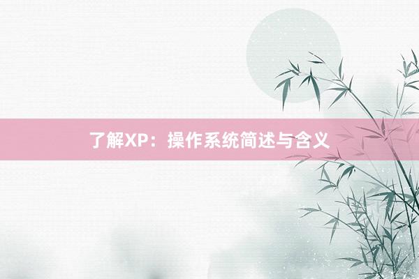 了解XP：操作系统简述与含义